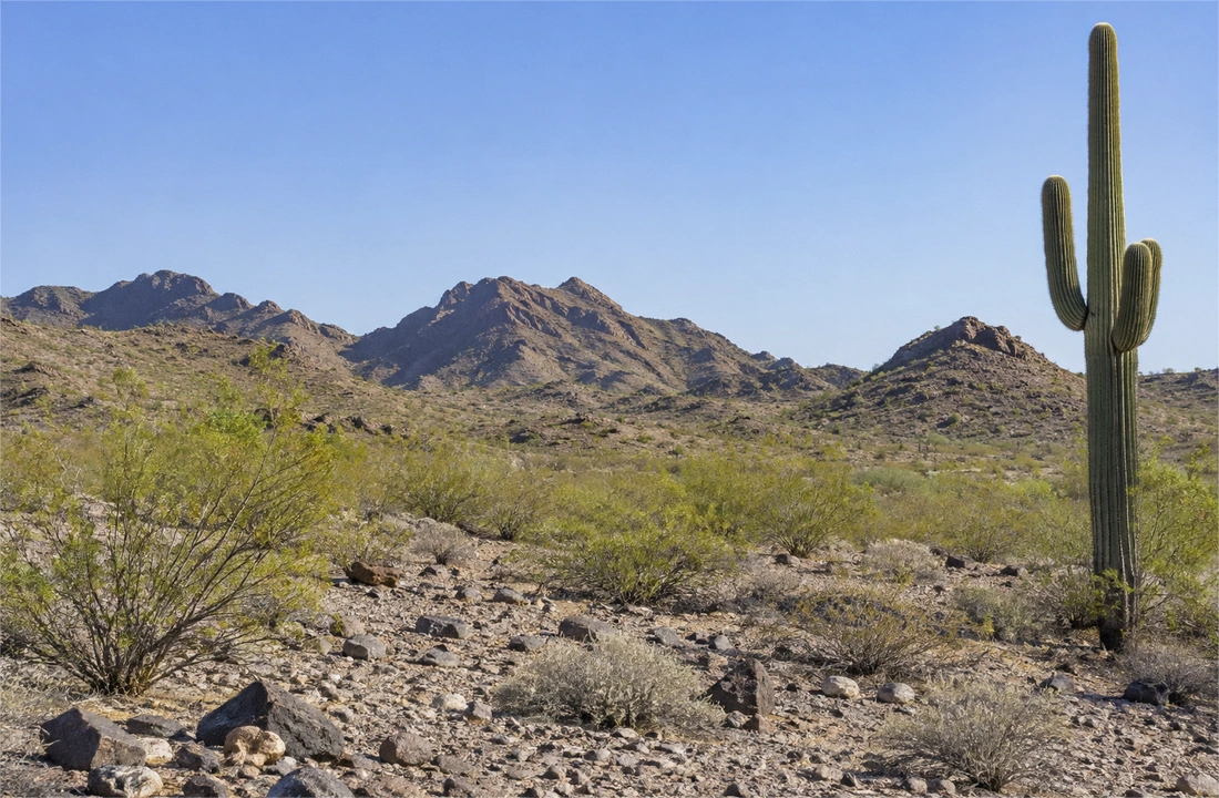 Arizona land parcel records for How to Sell Land Fast in Arizona