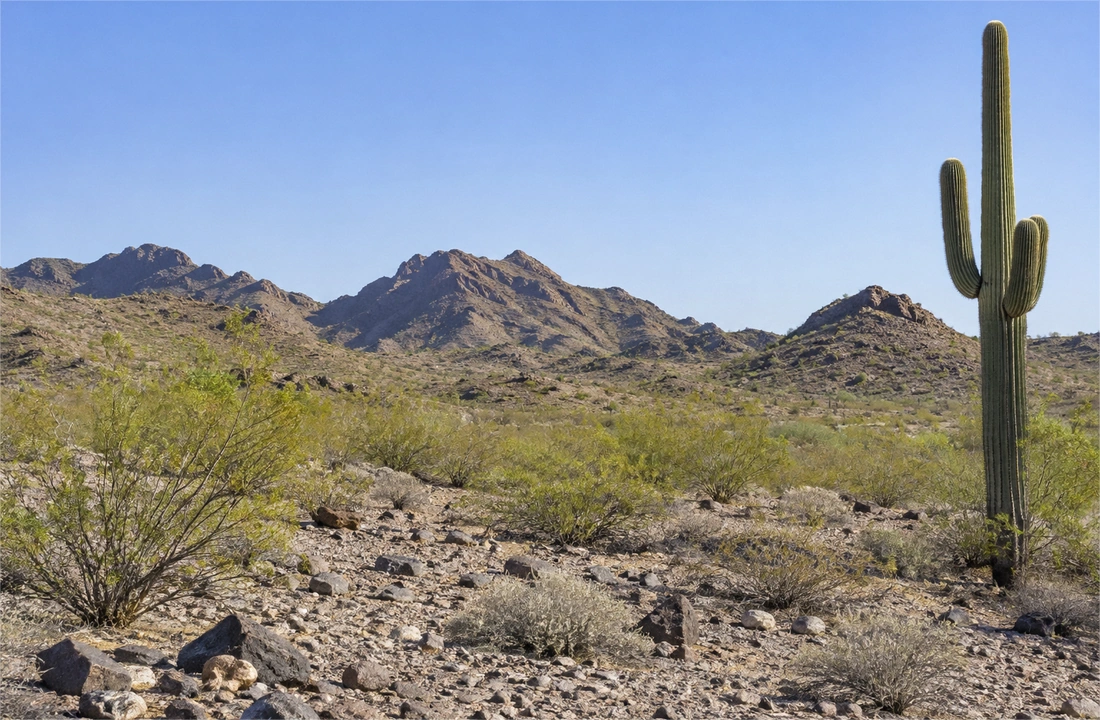Arizona land closing documents for How to Sell Arizona Land Without Clear Title