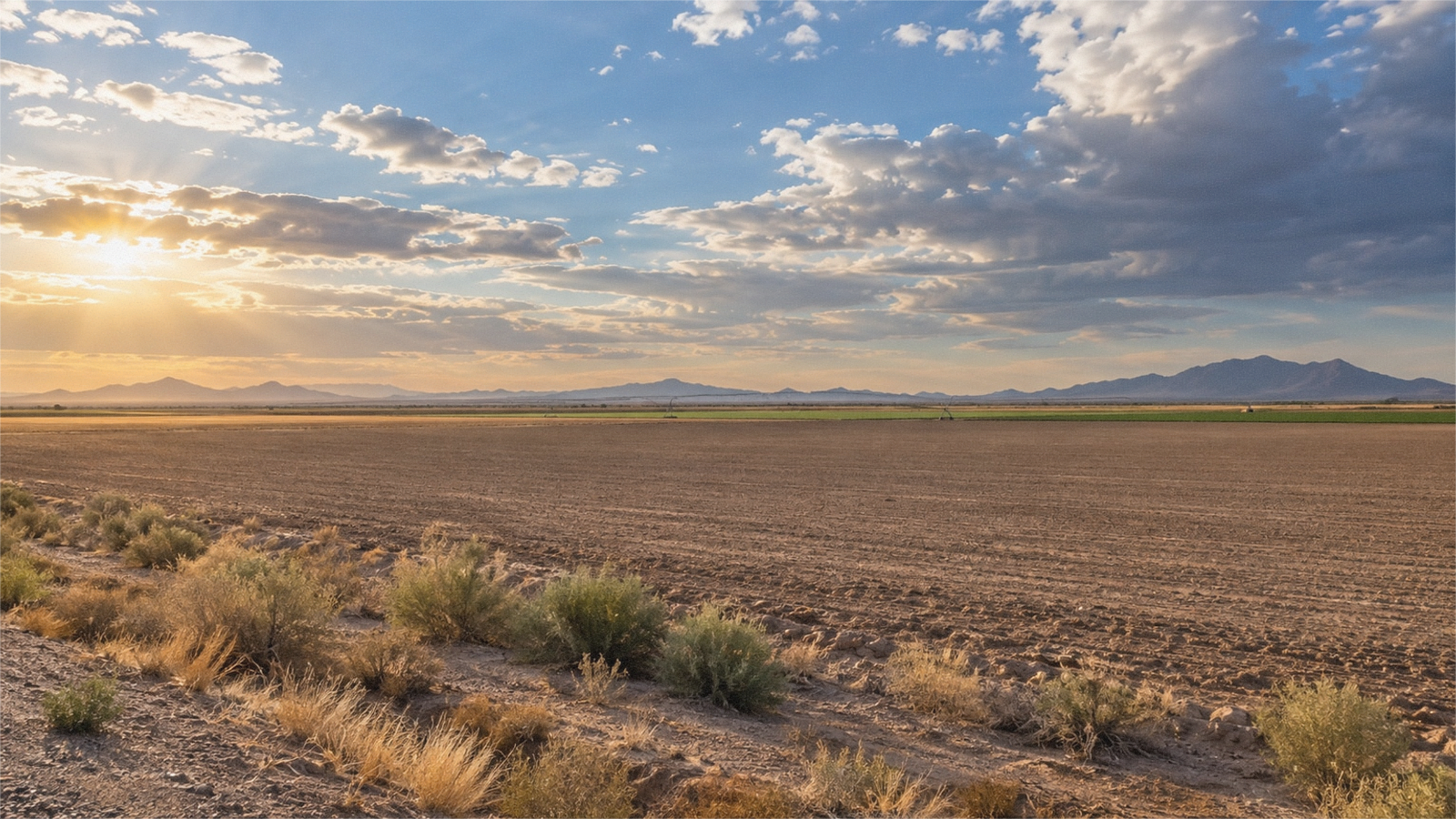 Open Arizona land access road near Pinal County