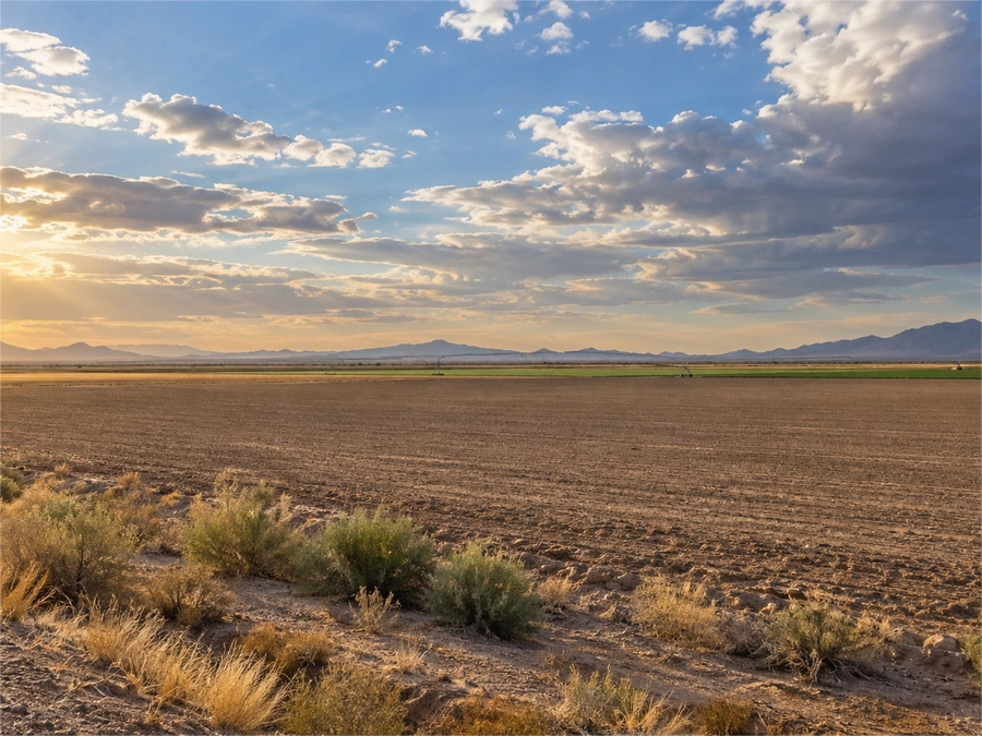 Vacant Lots in Willcox